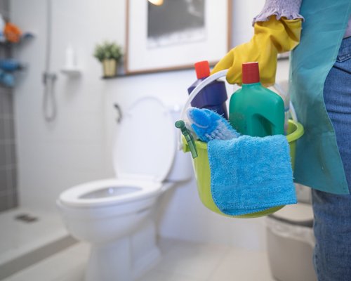 Bathroom Cleaning